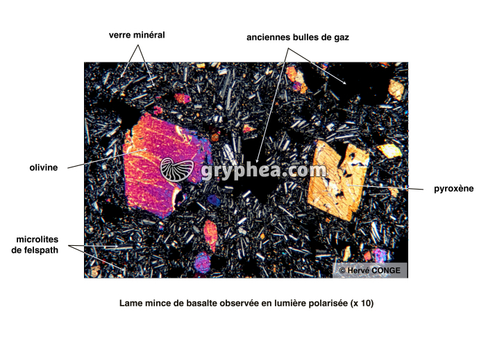 Basalte LPA x10 - vue légendée - gryphea.com